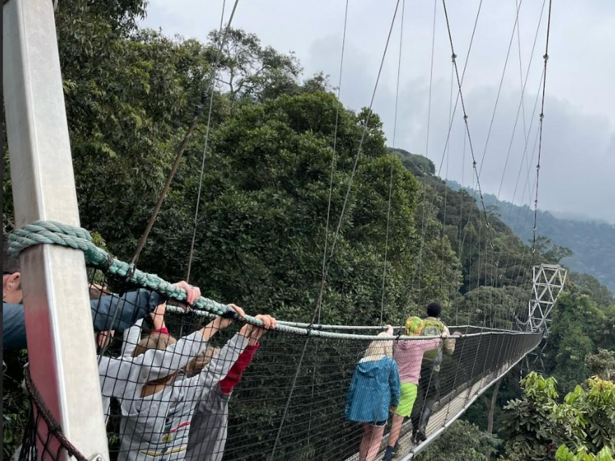 people walking over a narrow bridge suspended over the Nyungwe rainforest