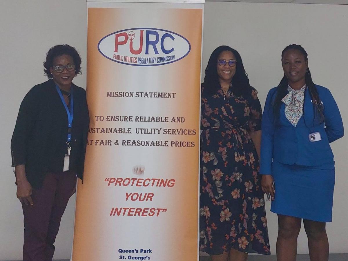 Task III Lead, along with PURC CEO and Consumer Affairs Officer ahead of RE installers consultations
