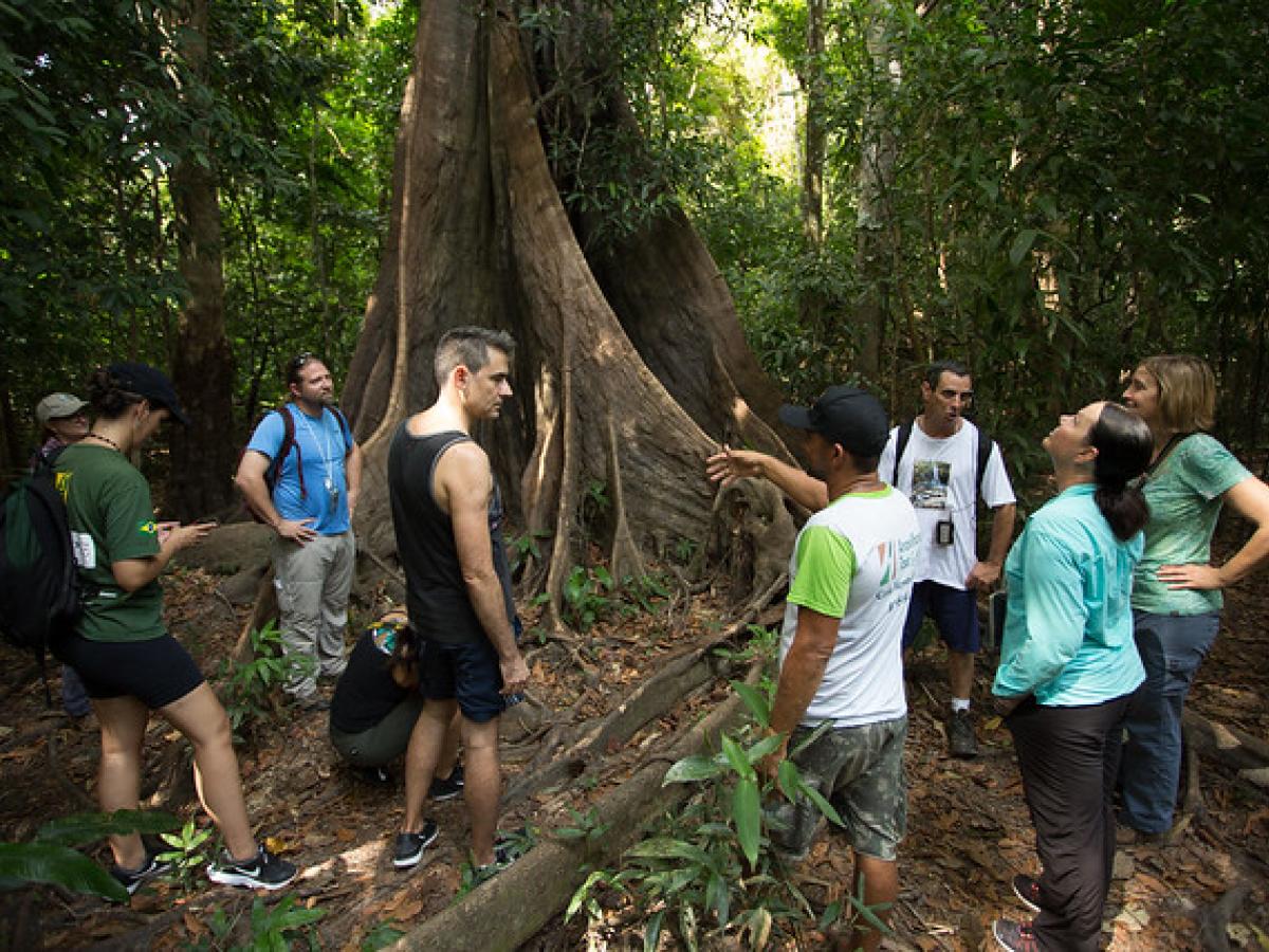USAID/Brazil supports the sustainable public use of protected areas, such as the Anavilhanas National Park through our partnership with the U.S Forest Service. 