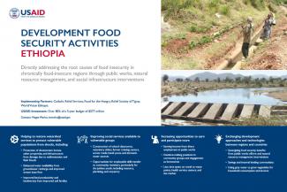 Development Food Security Activities, Ethiopia