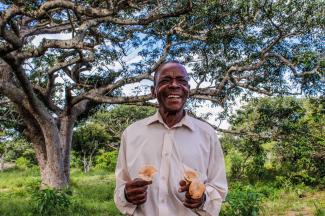 A man grins while holding giant mushrooms he collected in Licuati Forest Reserve.