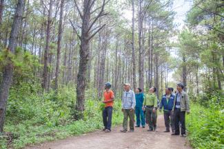 Hai dự án mới của USAID sẽ giúp bảo tồn hơn 950.000 hecta diện tích rừng tại 12 tỉnh của Việt Nam.