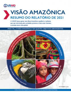 Capa do resumo do relatorio Visão Amazónica
