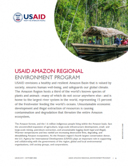 Cover of the Amazon Regional Environment Program