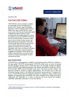 CATALYZE Peru Learning Brief