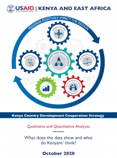 Qualitative and Quantitative Analyses for the CDCS cover