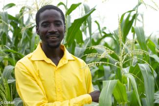 A Senegalese farmer with his crop of climate-resistant wheat. 