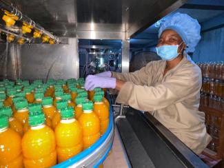 Workers at Capitol Foods’ factory in Sierra Leone bottle fruit drinks in a 3-tonnes-per-hour fruit processing plant. 