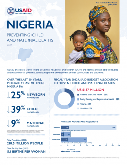 2024 MCHN Country Specific Fact Sheet: Nigeria