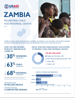 2024 MCHN Country Specific Fact Sheet: Zambia