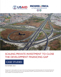 Cover for Scaling Private Investment to Close the Development Financing Gap: Case Studies