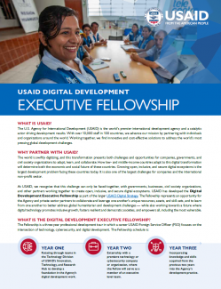 Cover photo for Digital Development Executive Factsheet