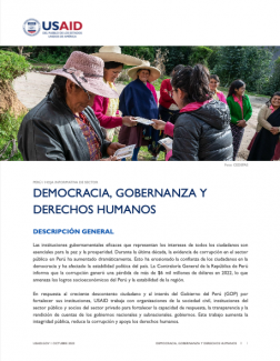 Portada de la hoja informativa del área de democracia en Perú