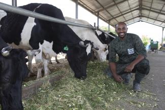 Owner of Anan Dairy in Hawassa, Ethiopia shows off his dairy cows