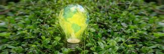 A lightbulb standing upright in green vegetation. A green and yellow map of Earth's western hemisphere is superimposed on the bulb to make it appear as a globe.
