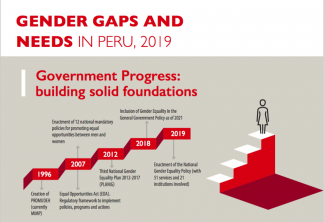 Gender gaps and needs in Peru, 2019