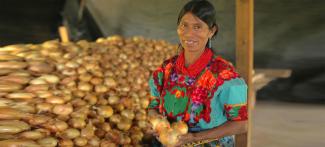 An indigenous Guatemalan woman displays her onion crop.
