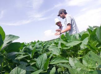 Kubanychbek Alymbekov (left) shows his soybean field to the buyer, Stephen Maier of Oasis Agro.
