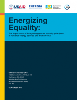 Energizing Equality: The Importance of Integrating Gender Equality Principles in National Energy Policies and Frameworks