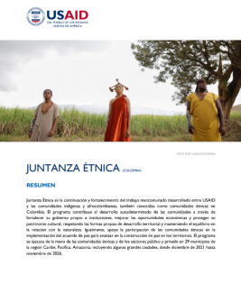 Juntanza Étnica Fact Sheet