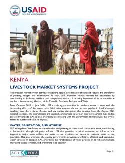 Livestock market systems
