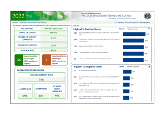 USAID FEVS 2022 Annual Employee Survey (AES) Dashboard
