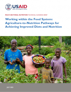 A picture of a farming family under the text "Working within the Food Systems: Agriculture-to-Nutrition Pathways for Achieving Improved Diets and Nutrition"