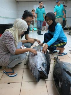 women with a tuna fish