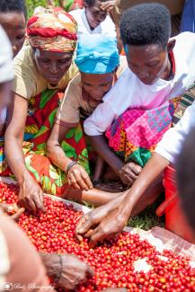 Kahawatu supported women coffee producers in Burundi