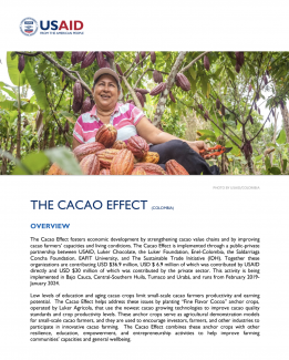 The Cacao Effect Fact Sheet