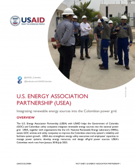 Fact Sheet U.S. ENERGY ASSOCIATION PARTNERSHIP (USEA)