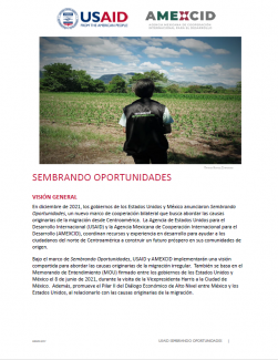 Image depicts the first page of the Sembrando Oportunidades Spanish language fact sheet from April 2023. Includes a photo of a person looking out at a farm field.
