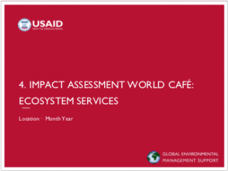 2-Day EC-ESDM Workshop - Session 4: Impact Assessment World Café: Ecosystem Services Presentation