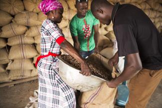 Between June 2016 and March 2021, the GSA facilitated the export of 529,772MT of shea products worth over $311 million. This means more jobs, especially for women in West Africa, more income to shea kernel collectors, and more quality skin care in the U.S. 