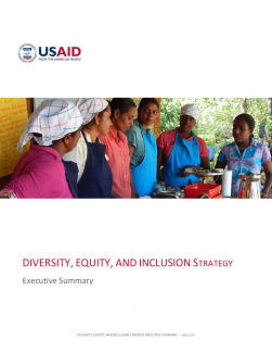 Diversity, Equity, and Inclusion Strategy - Executive Summary
