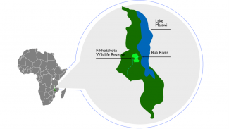 A map of Africa with an inlay of Malawi in green. A large section in the center is highlight to show the location of the Bua River and Nkhotakota Wildlife Reserve.