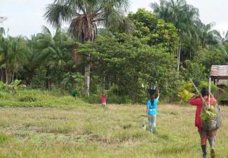 Indigenous women walking in a field next to the jungle