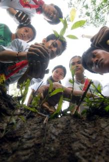 Filipino Boy Scout Siegfried Murallo and other Boy Scouts and Girl Scouts plant a mahogany tree seedling.