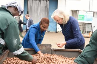 Charity Ndegwa, a co-founder at Exotic Nuts EPZ shows US Ambassador to Kenya Meg Whitman macadamia nuts received at the firm’s factory prior to the drying process. US Embassy