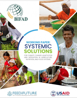 Working Paper: Systemic Solutions for Climate Change Adaptation and Mitigation in Agriculture, Nutrition, and Food Systems