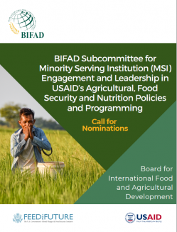 BIFAD MSI Subcommittee - Public Call for Member Nominations