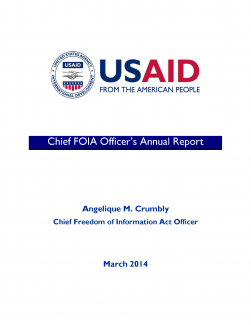 Chief FOIA Officer's Report - FY 2013