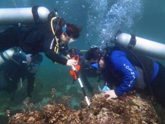 U.S. Trains Philippine Partners in Underwater Crime Scene Investigation and Law Enforcement