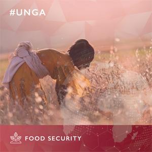 #UNGA Food Security