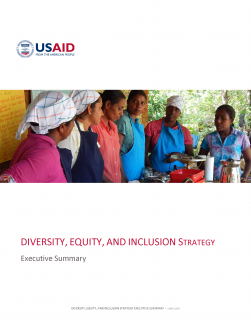 USAID Diversity Equity & Inclusion Strategic Plan Executive Summary