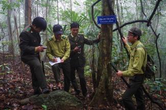 USAID giúp đẩy mạnh công tác bảo vệ rừng tại miền trung Việt Nam.