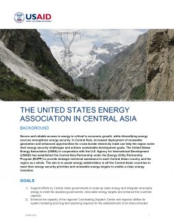 The United States Energy Association in Central Asia