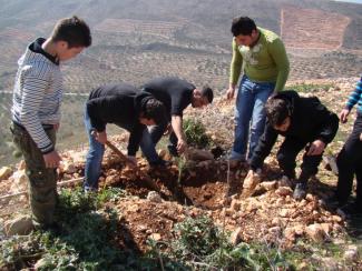 Together with USAID partner, the Association for Forest Development and Conservation, Lebanese youth contribute to the reforestation of the Forest of Peace in Kawkaba.
