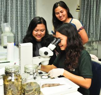 Leading women scientists at Kasetsart University’s lab in Thailand work on biodiversity and conservation in the Lower Mekong as part of USAID’s Partnerships for Enhanced Engagement in Research Science project.