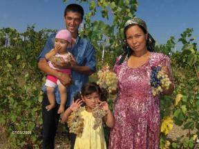 A family shows their best grape harvest in Namangan Province. USAID provides technical support to small farmers to increase crop yields.